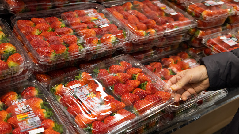 Person browsing strawberry containers at grocery store