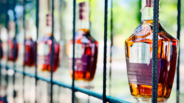 A row of blank bottles being showcased on a shelving rack