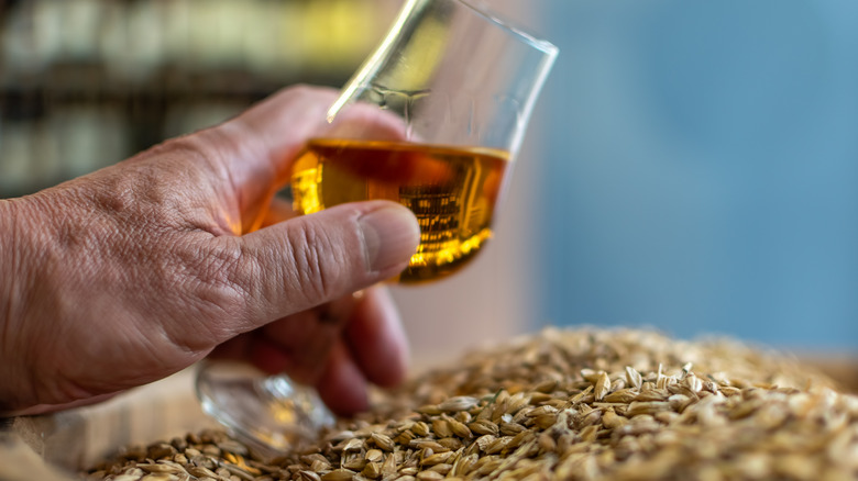 A full glass of whiskey being held above grains used in its production