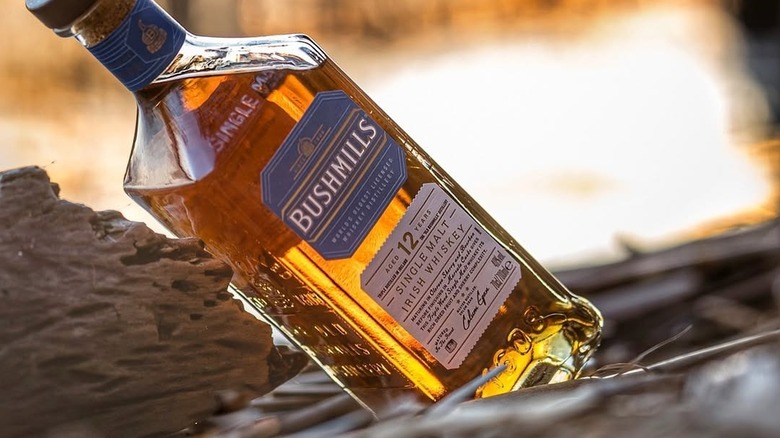 A bottle of Bushmills 12-year leaning against driftwood in an outdoor setting