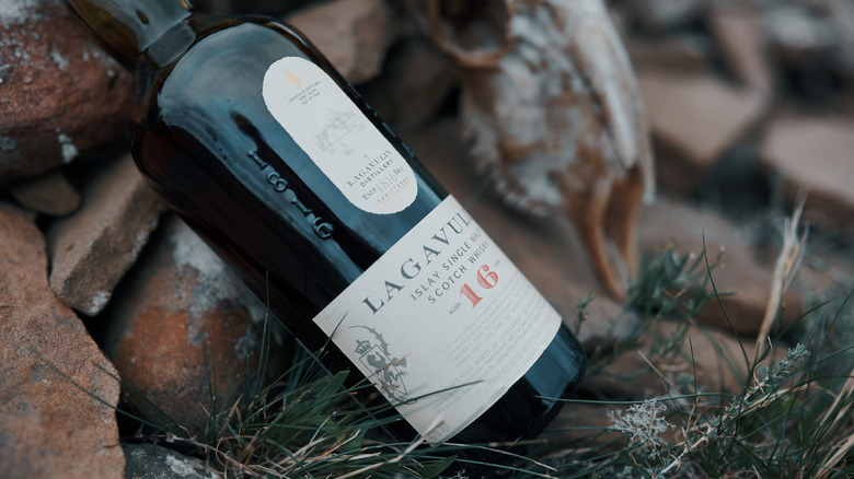 A bottle of Lagavulin 16-year leaning on a pile of rocks in an outdoor setting