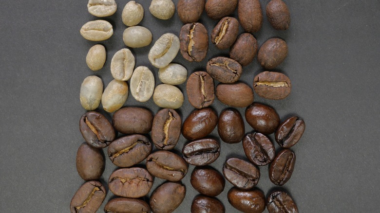 Four sections of coffee beans