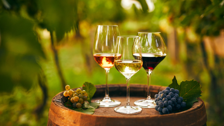 Glasses of wine in vineyard