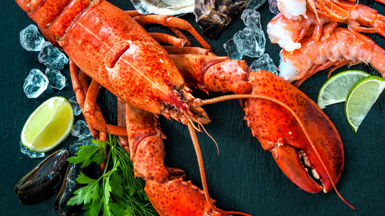 Lobster seafood platter