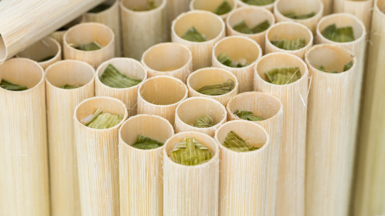 tubes of com lam (rice in bamboo)
