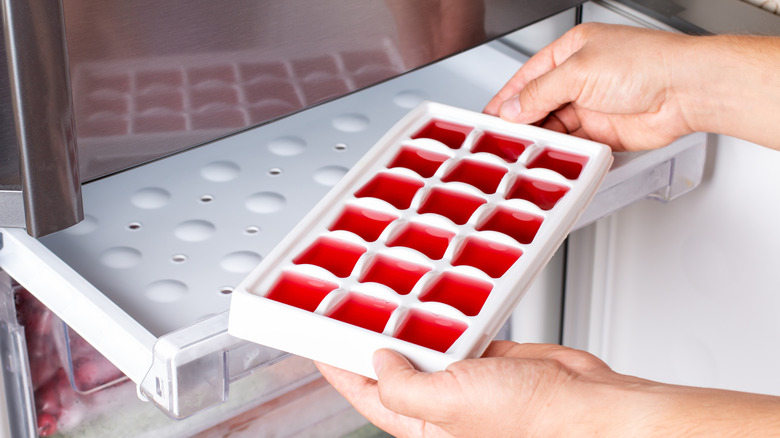 Hands placing ice cube tray filled with red liquid into freezer