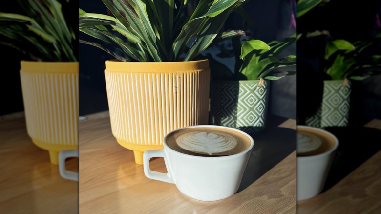 A white coffee cup in front of a planter