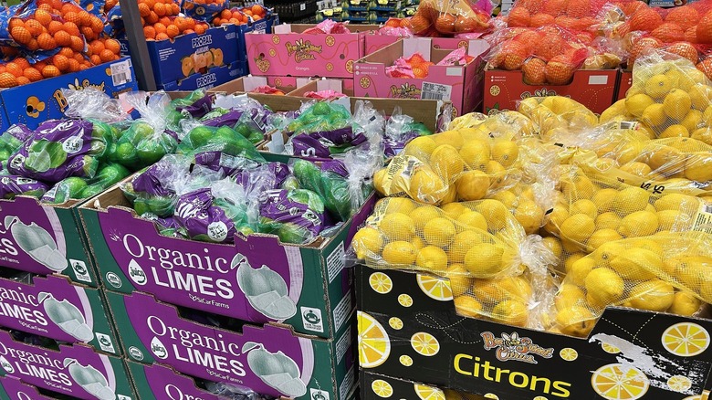 Lemons, limes, and oranges in mesh bags in Costco produce section