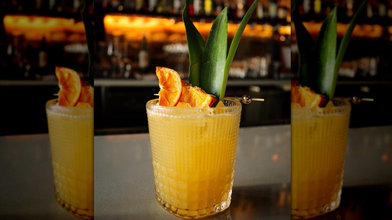 orange cocktail in a Fortessa old fashioned drinking glass