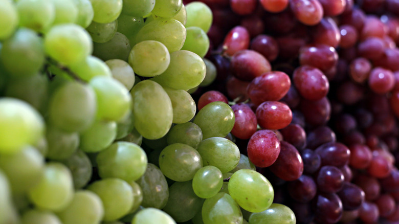 different grape varieties clustered together