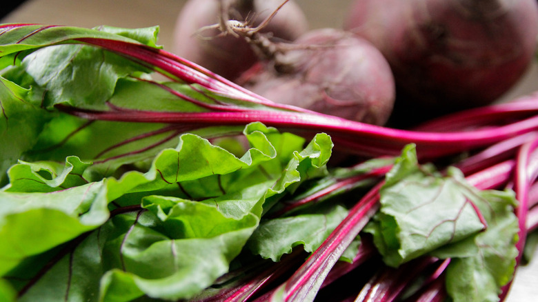 beet greens with bright magenta stalks in front of red beets