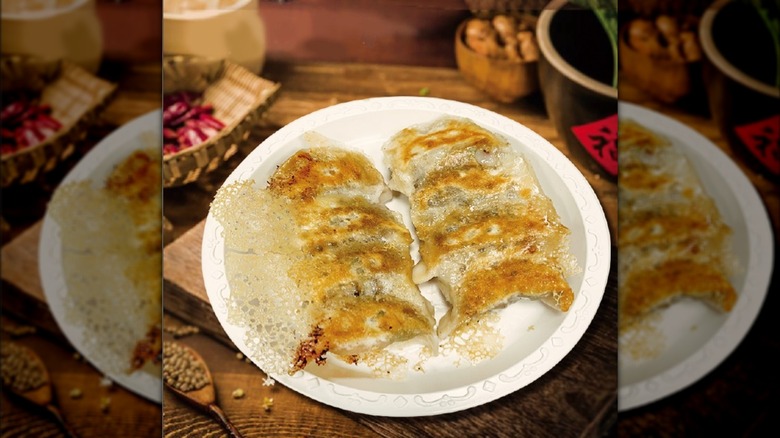 fried dumplings from Shu Jiao Fu Zhou