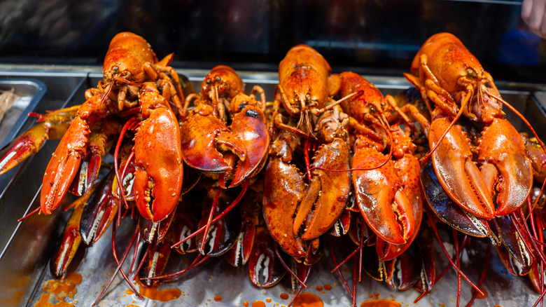 Stacks of cooked lobsters on a tray