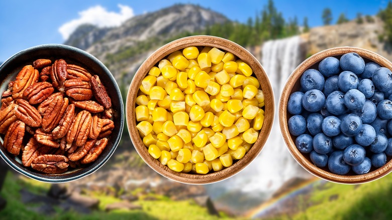 Bowls of pecans, corn, and blueberries with a mountainous waterfall background