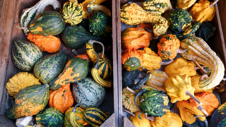 Various types of colorful gourds in a wooden crate