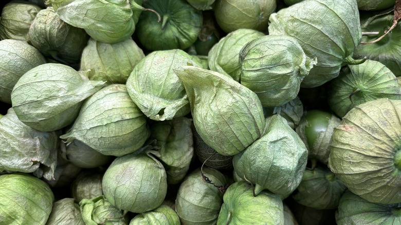 A close-up of a pile of green tomatillos still in their paper-like husks