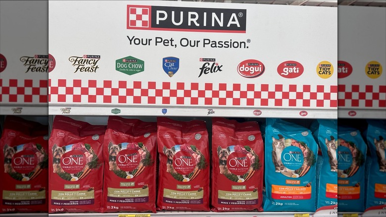 A picture of the different dog and cat food brands that purina makes.