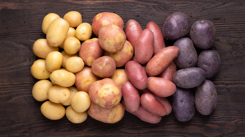 Different types of potatoes