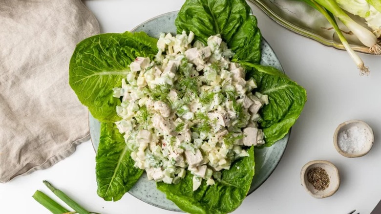 Creamy chicken salad with celery on top of lettuce leaves and sprinkled with fresh dill
