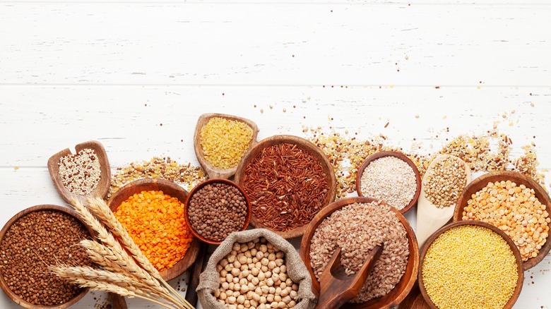 Different types of grains 