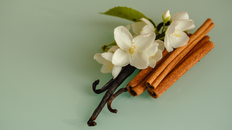 White flowers, vanila pods, and cinnamon sticks on a pale green background