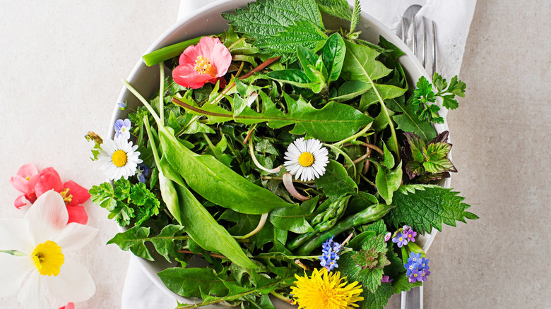 Aerial shot of dandelion salad