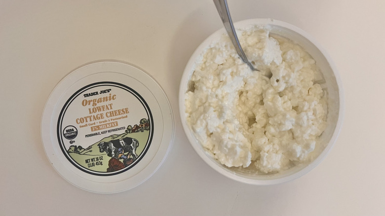 Pile of plain Small Curd Cottage Cheese