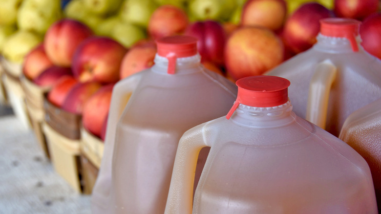 Several plastic jugs of apple cider, apples in background