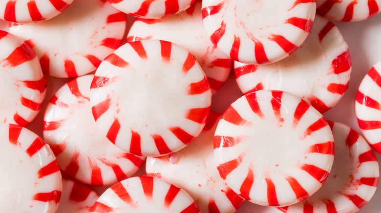 Close up of round peppermint candies