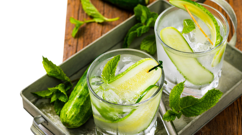 Cucumber vodka cocktails with mint