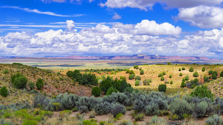 Wide, colorful prairie in America with bright blue sky