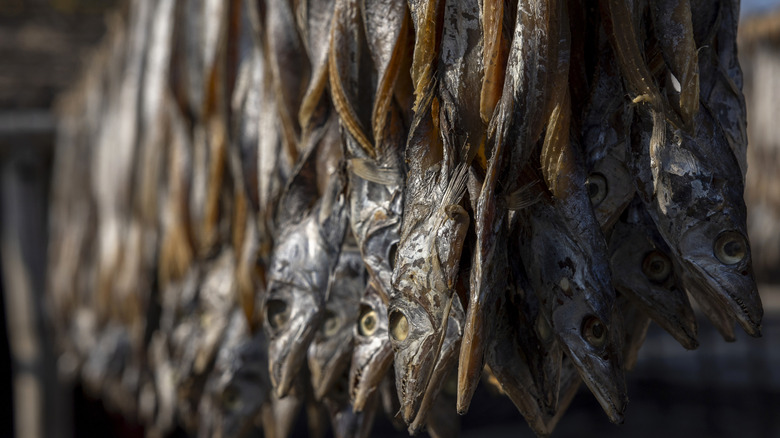 Close-up of whole fish hanging to dry in the sun