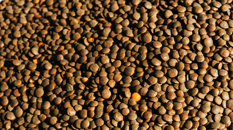 Heap of green lentils