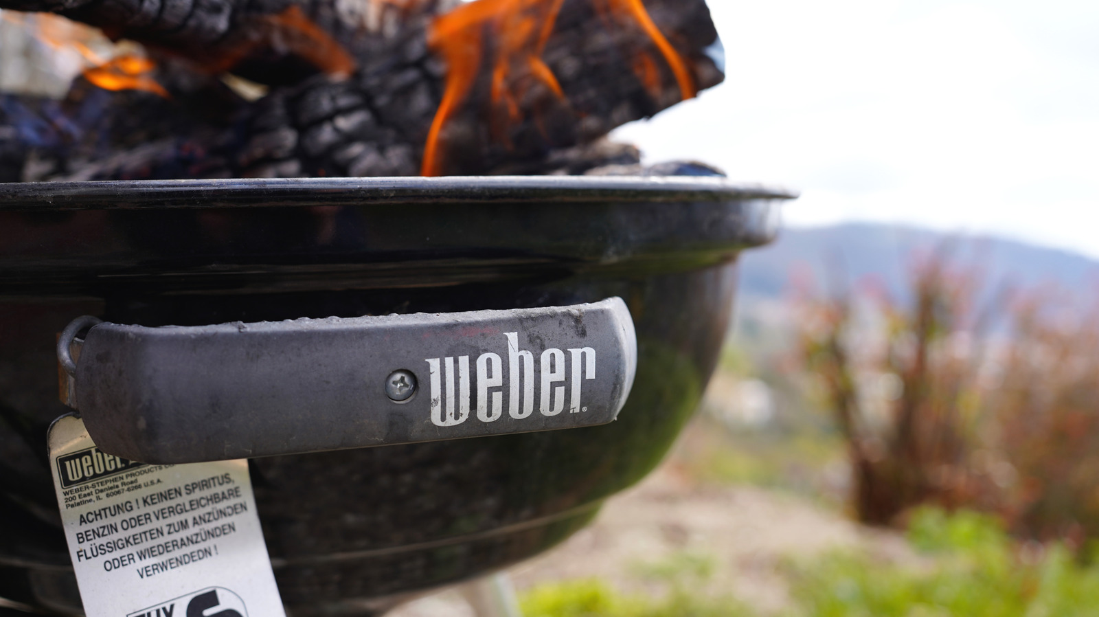 2 Common Weber Grill Issues Customers Only Notice After Unboxing Their Purchase
