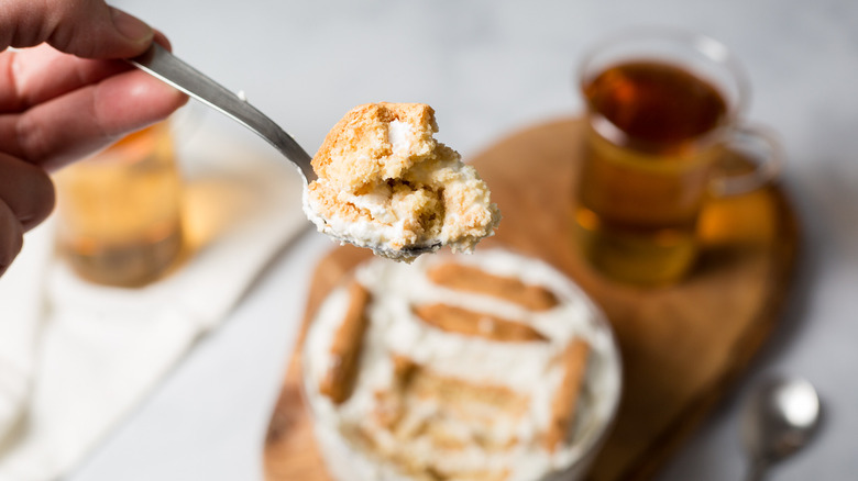 spoonful of yogurt with cookies