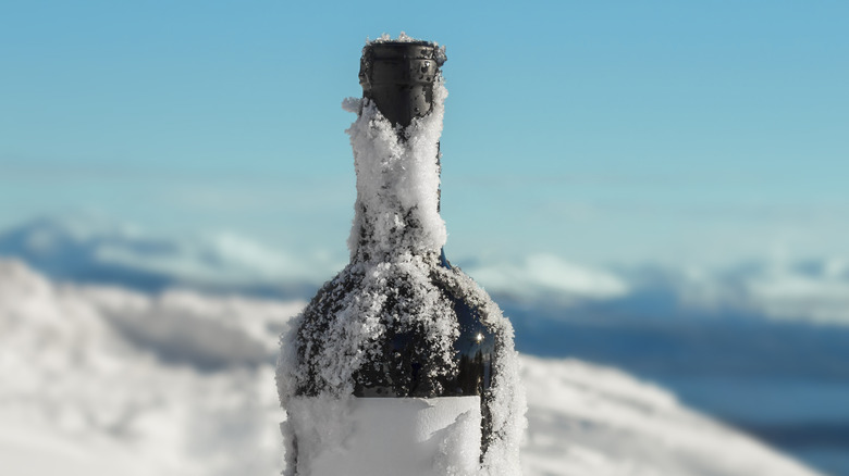 Wine bottle in the snow