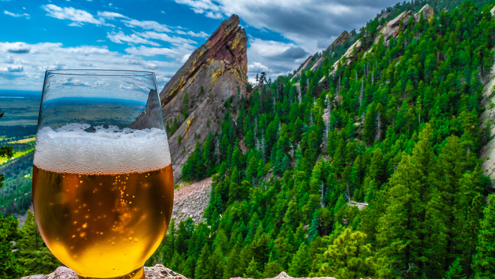 20 Best Colorado Craft Beers, Ranked