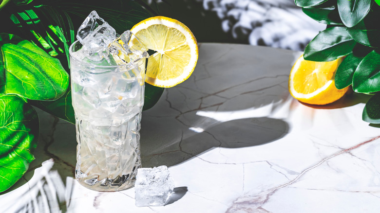A glass of tonic water with a lemon slice garnish