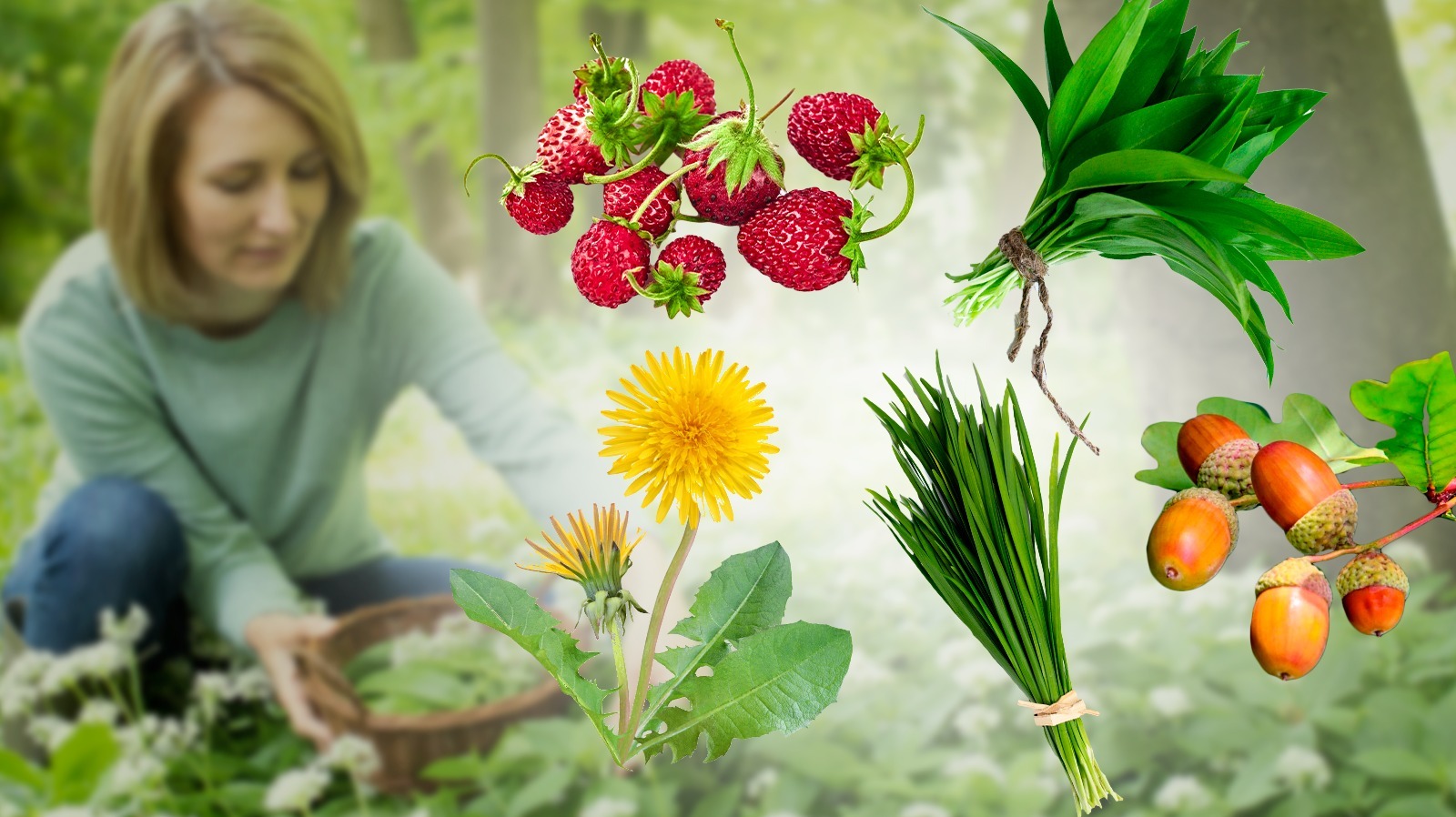 13 Edible Flowers to Grow in Your Garden