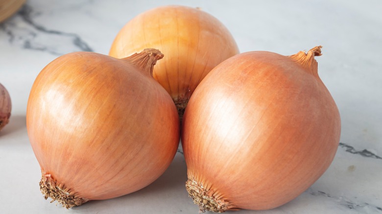Three onions shown on a countertop, with a clear visual on the root end that can be replanted