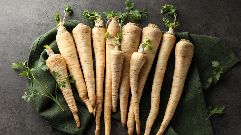 A collection of parsnips on a table cloth with the leafy end intact