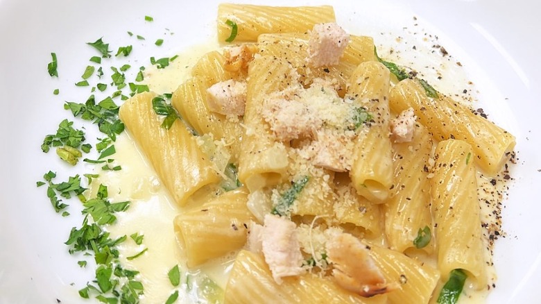 Plate of rigatoni with white sauce