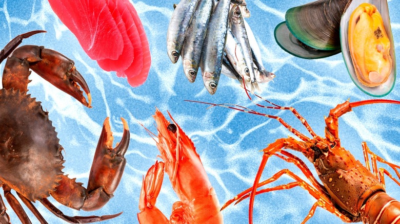 Seafood against blue background
