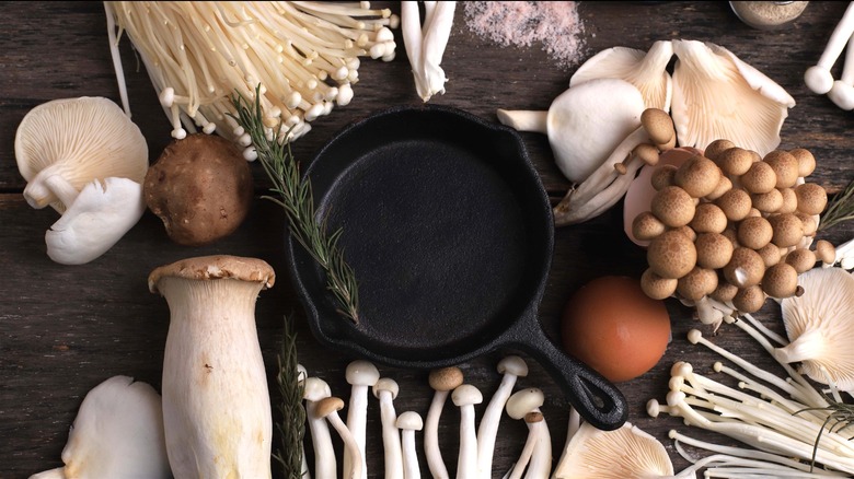 variety of mushrooms around cast iron pan