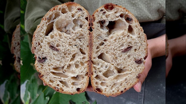person holding halved sourdough loaf from OWL bakery in Asheville
