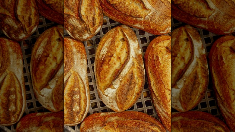 crusty sourdough loaves made by Le Quartier in Nebraska on rack