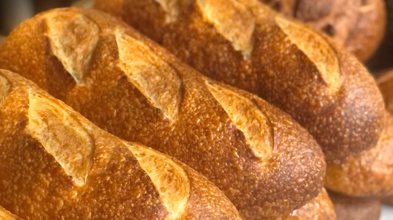 loaves of sourdough bread lined up at Boudin Bakery in San Francisco