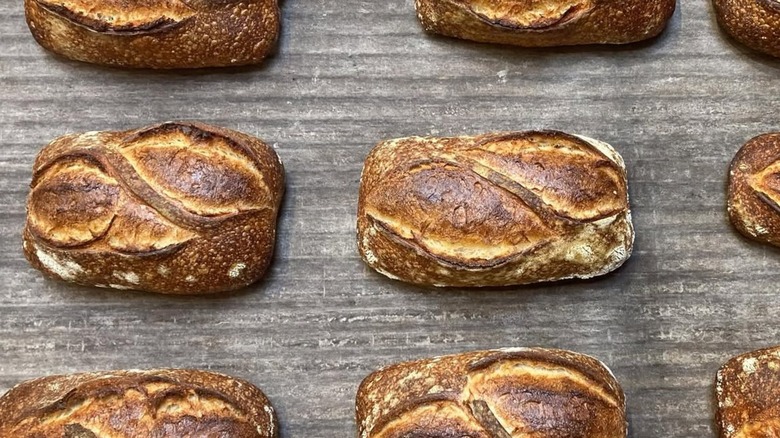 sourdough loaves from Sea Wolf Bakers in Seattle lined up