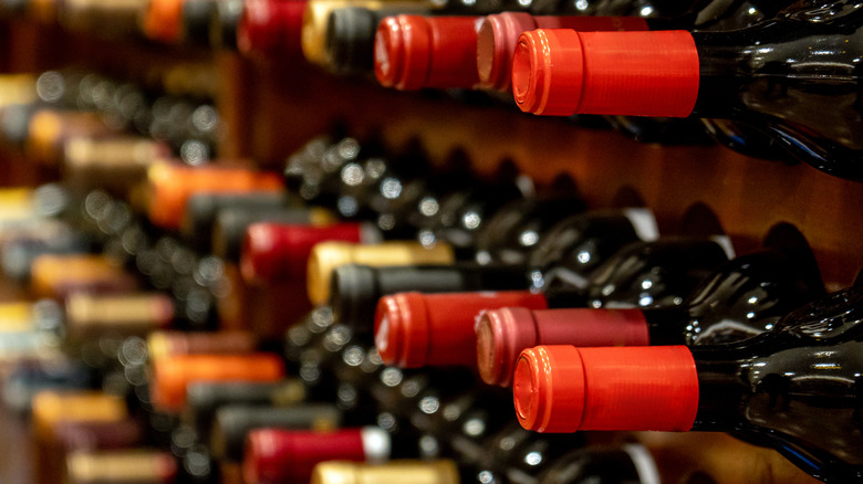 Bottles of red wine in a wine rack