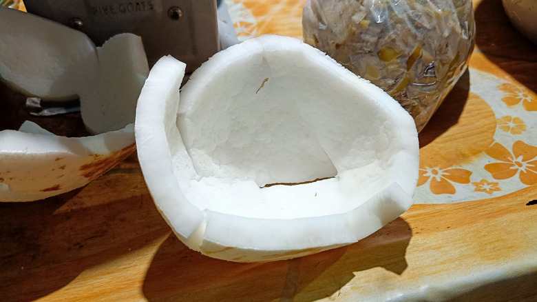 Coconut meat separated from the husk